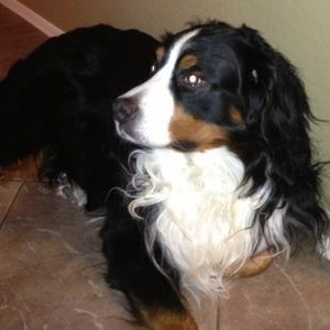 Meet your Posher, Clint